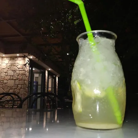 Aparthotel Arellis Afytos